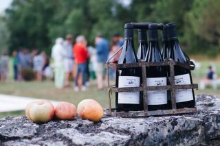 Opus One: Napa's Premier Bordeaux-Inspired Estate