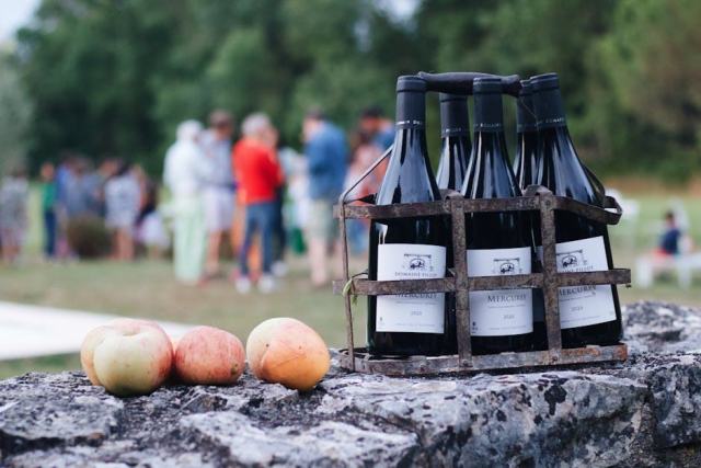 Opus One: Where Napa Valley Meets Bordeaux Tradition