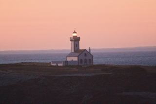 Spanish Wine Brands: Rioja, Ribera del Duero and Beyond