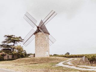 Château Latour: Pauillac's Most Powerful First Growth