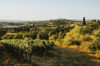 Wine Brand Guide: How to Choose, Buy and Collect Fine Wine