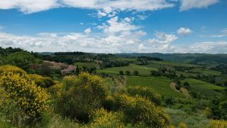 Italian Wine Brands: Tuscany, Piedmont and Beyond