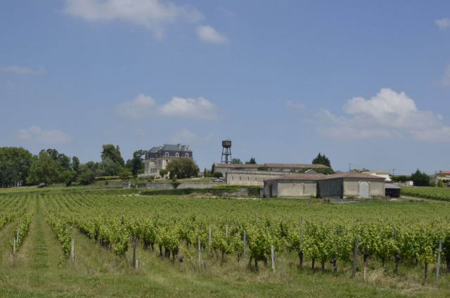 Wine Brands: The Estates, Châteaux and Domaines That Define Greatness