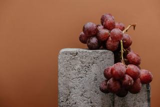 Romanée-Conti: Inside Burgundy's Most Precious Grand Cru
